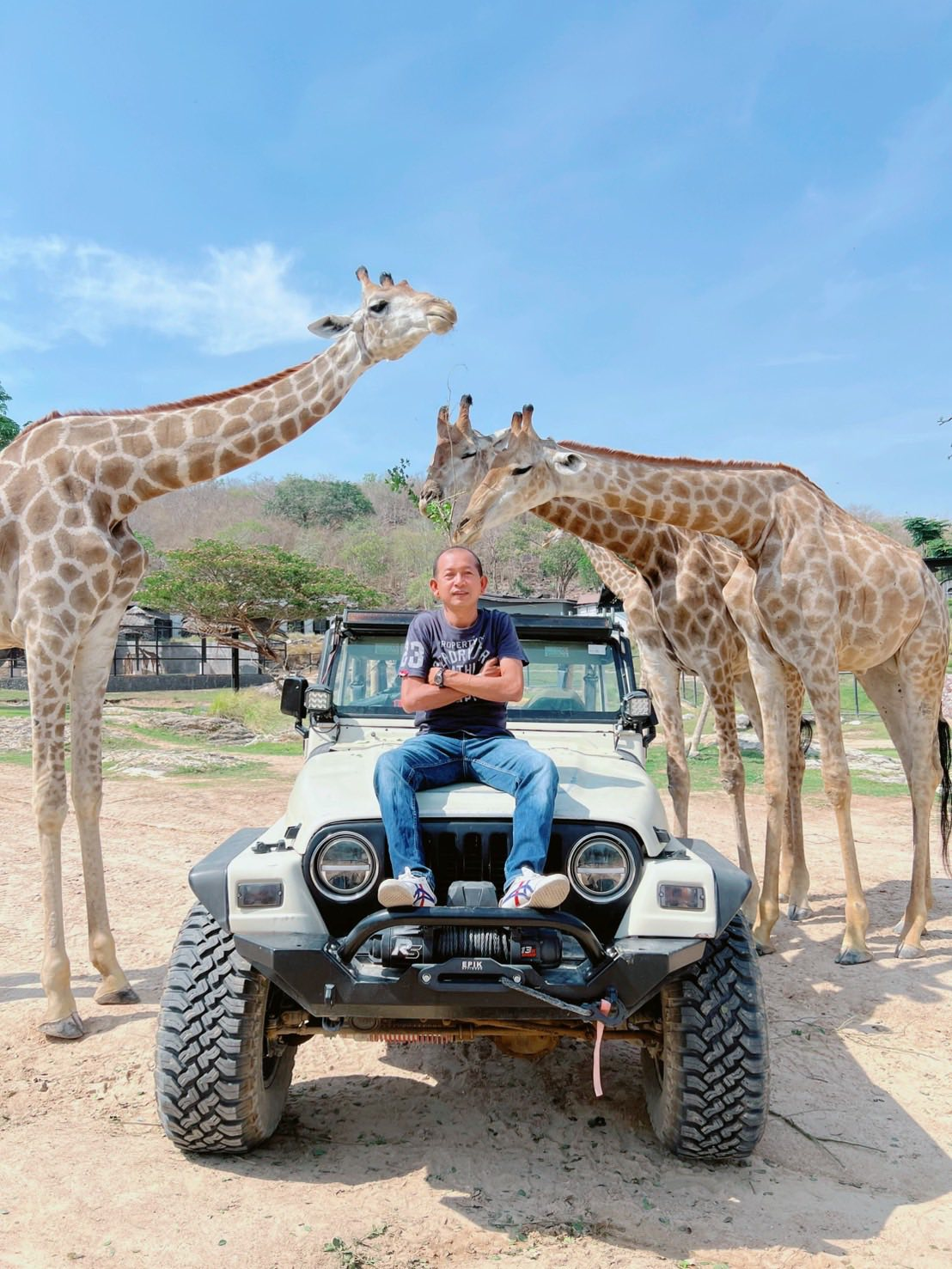 Day trips & sightseeing stops